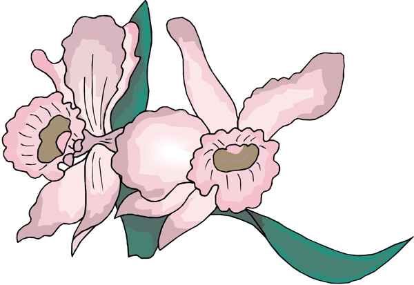 花朵花草鮮花矢量EPS格式1108