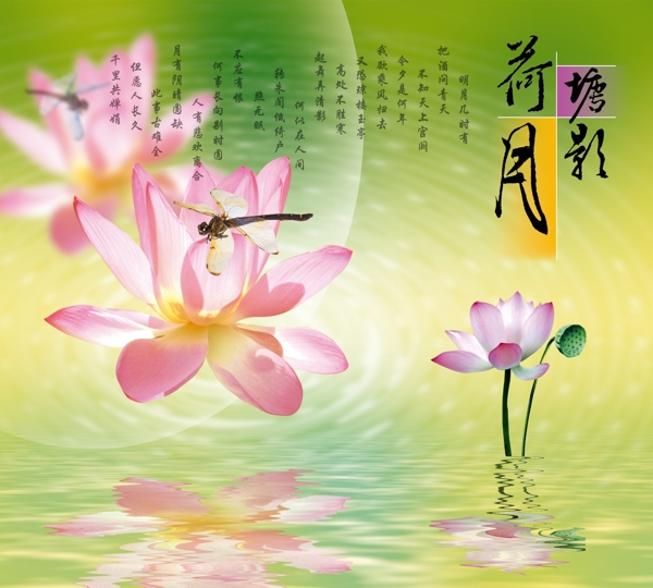 荷塘月影圖片