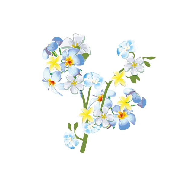 写实风观赏植物蓝色兰花花卉