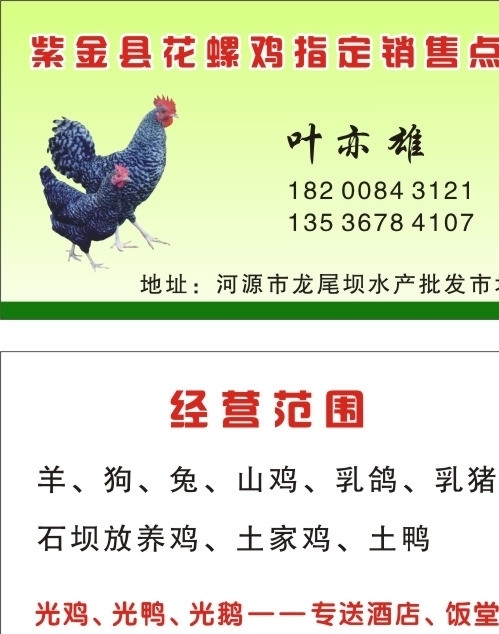 雞名片圖片