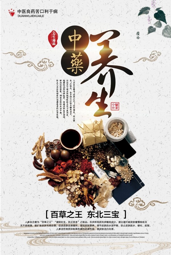 简洁大气传统中国风中药养生促销宣传海报