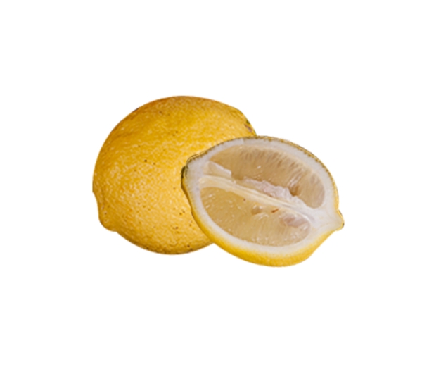 新鲜柠檬水果矢量图