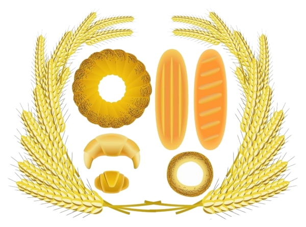 大麥素材