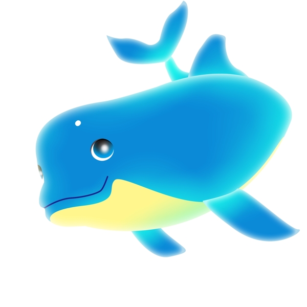 海洋蓝色海豚
