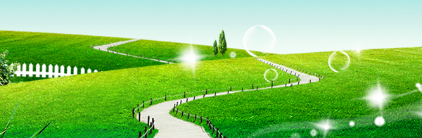 綠色植物小清新banner