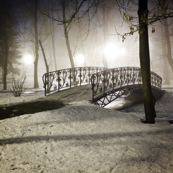 公園里的雪景圖片