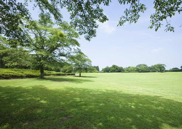 綠色公園風(fēng)景圖片
