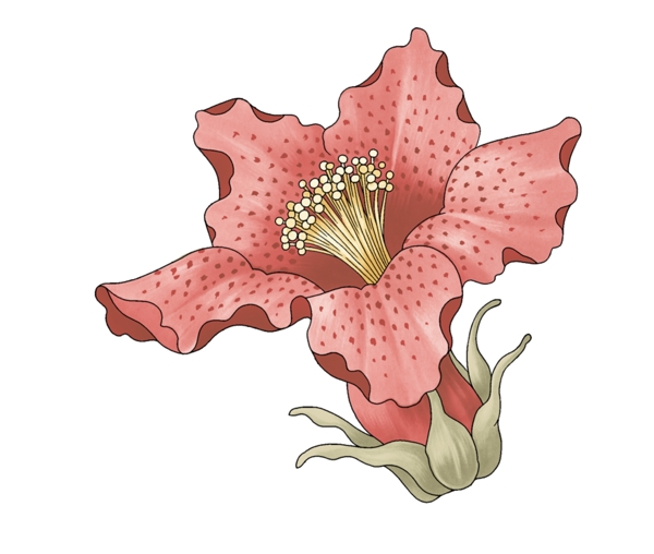 小花朵