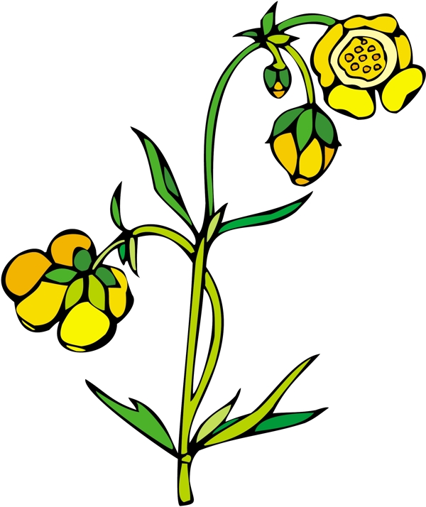 花朵花草鮮花矢量EPS格式0062