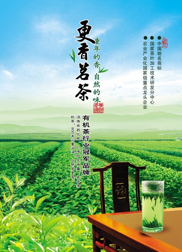 綠茶海報(bào)圖片