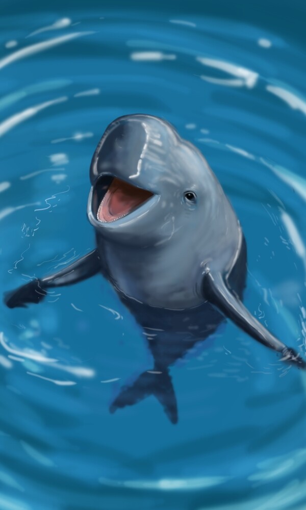 写实风格手绘白鳍豚海豚免抠png元素