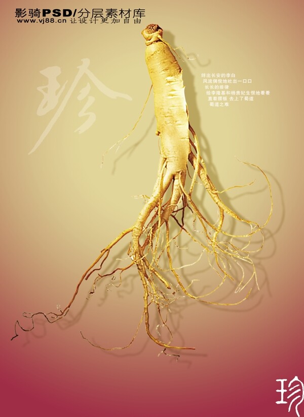psd源文件房地產(chǎn)人參中國(guó)風(fēng)