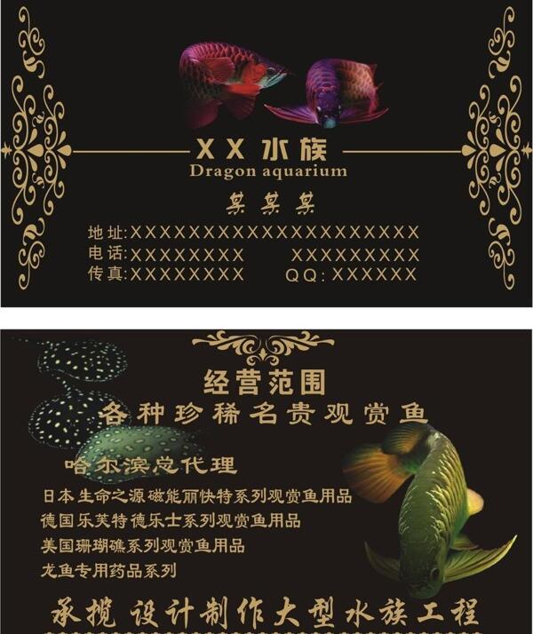 水族名片設(shè)計(jì)圖片