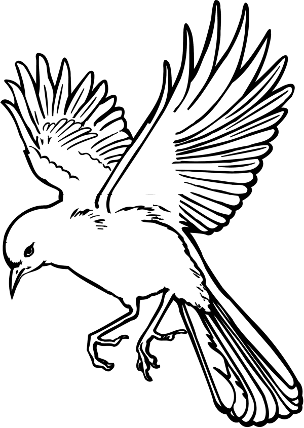 各種鳥類鳥動物矢量素材EPS格式0915