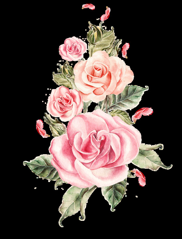 手绘的玫瑰花元素素材