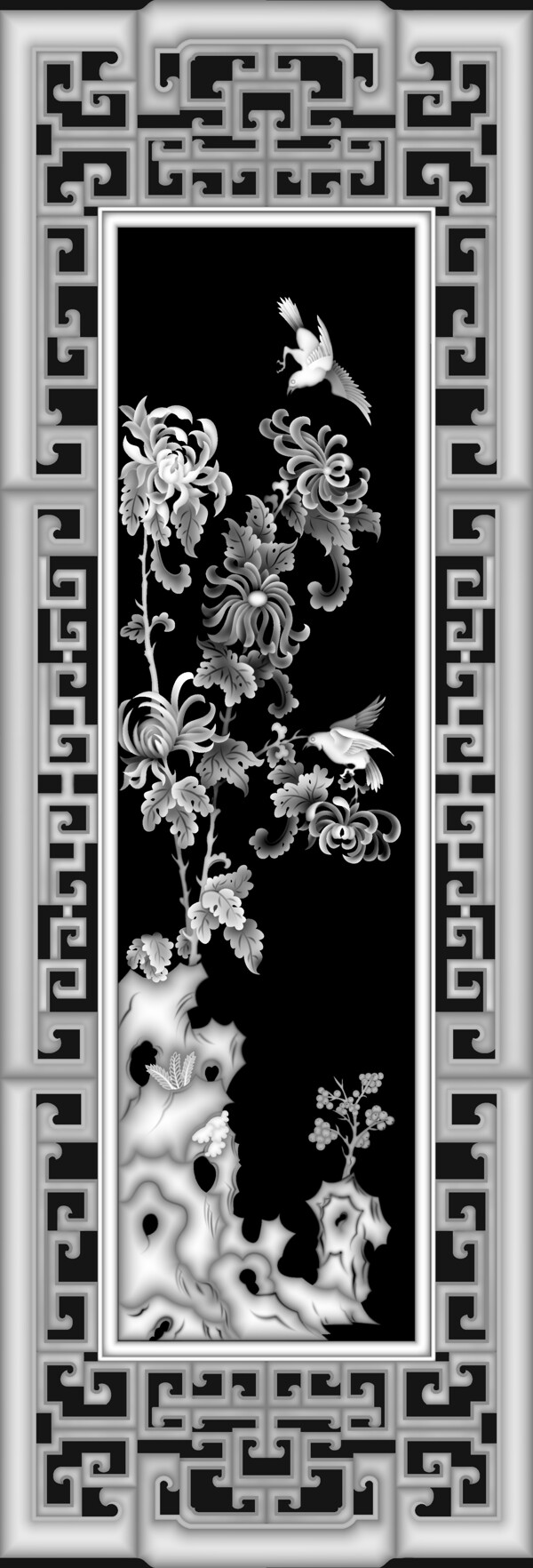 屏風(fēng)菊灰度圖