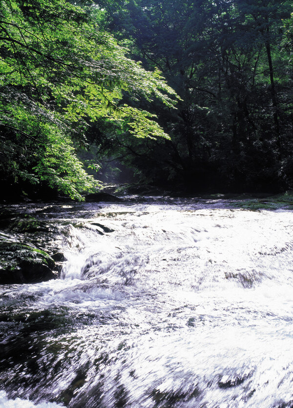 山林间急湍的溪水