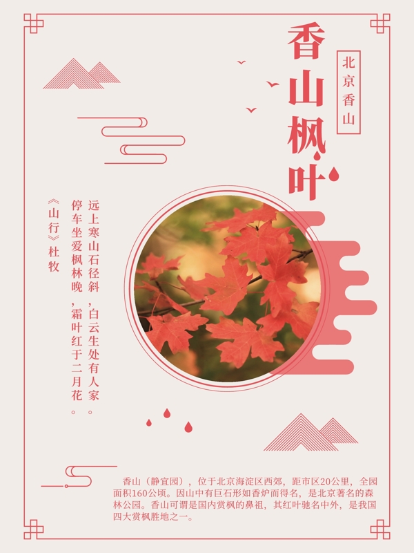 香山枫叶主题海报