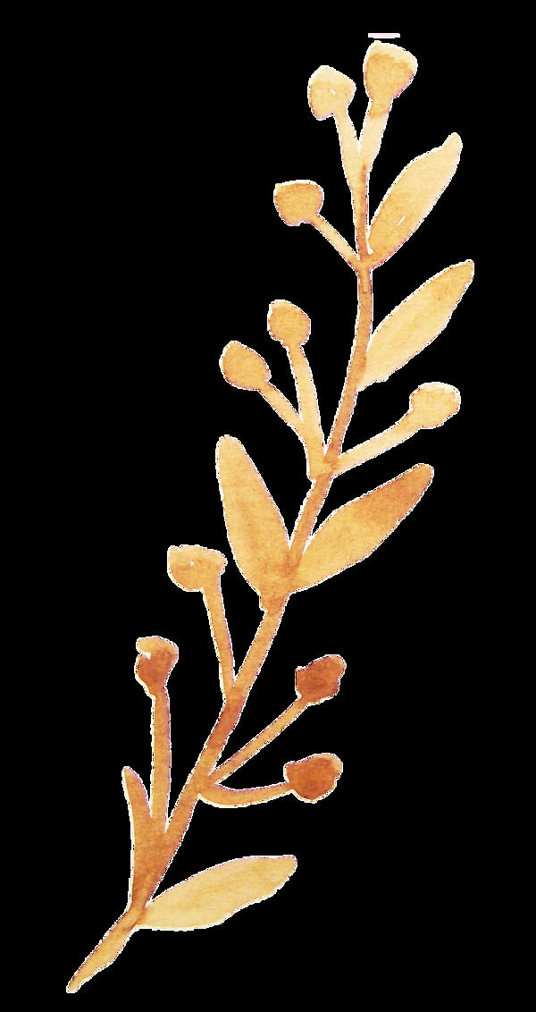 紅橙花葉卡通透明裝飾素材