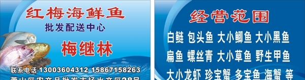 魚類海鮮名片圖片