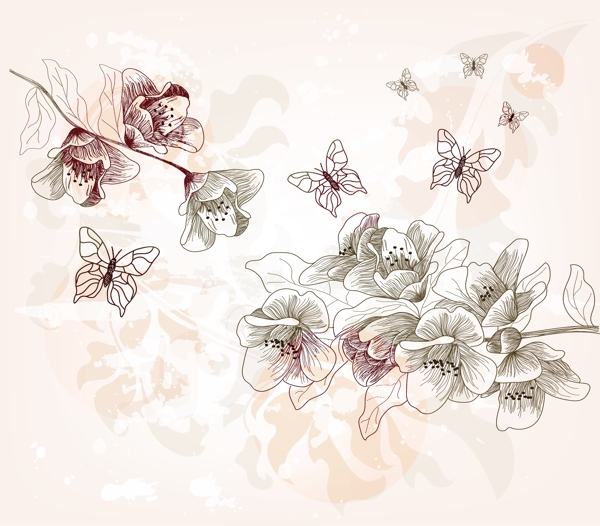 线条蝴蝶花卉