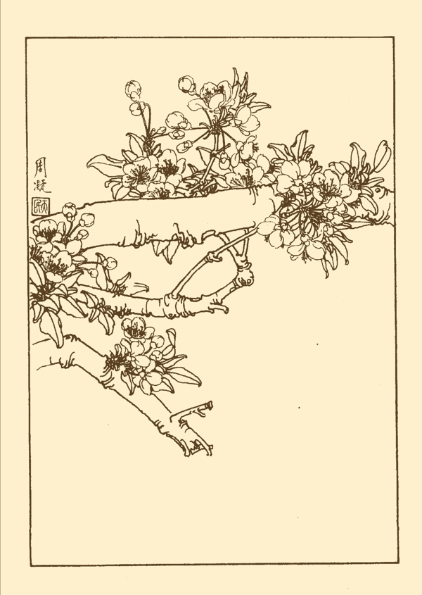 李子圖片