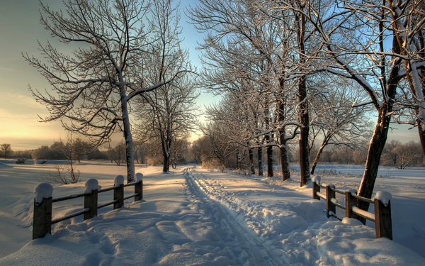 雪景