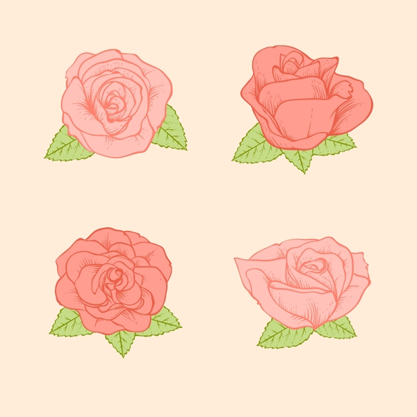 矢量玫瑰花