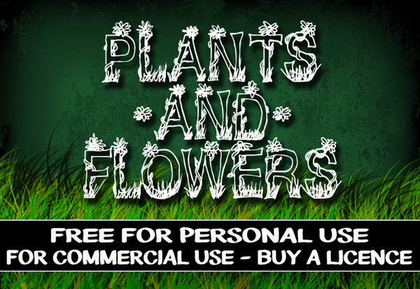 CF的植物和花卉的字体