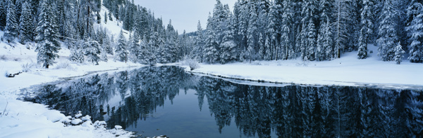 白雪覆盖的河流和树林图片