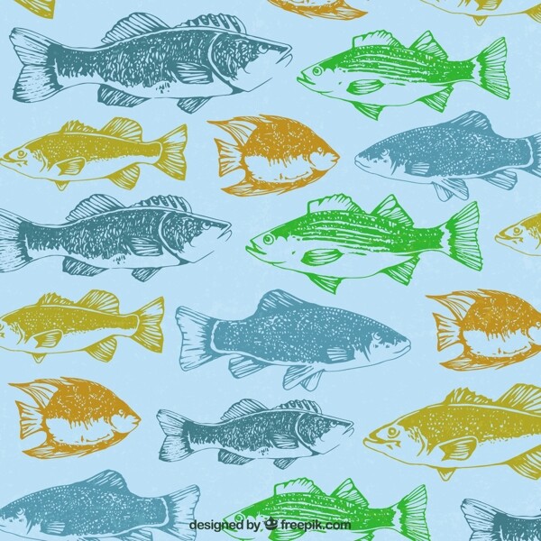 鮭魚的插圖