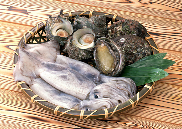 魷魚鮑魚海螺圖片
