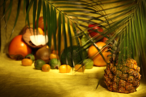 椰子叶下的一堆水果图片