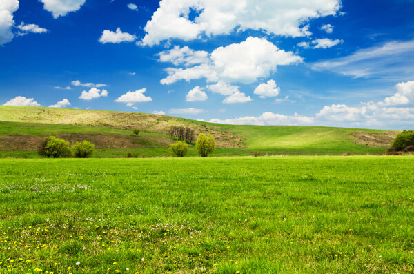 蓝天白云与草原风景图片