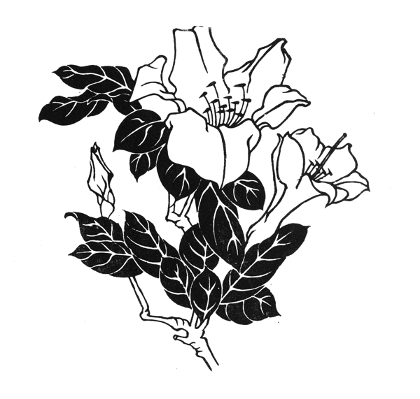 杜鵑吉祥圖案060
