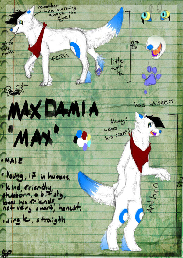 maxdamia參考