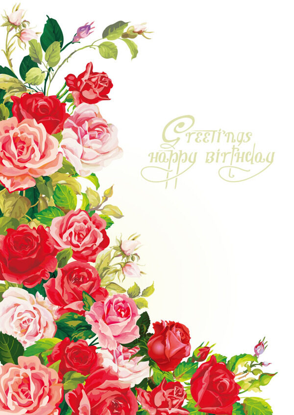玫瑰花朵繪畫生日生日
