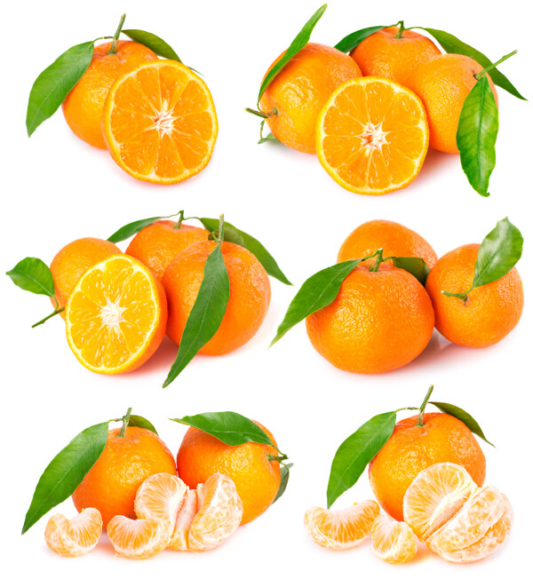 高清橙子摄影图片