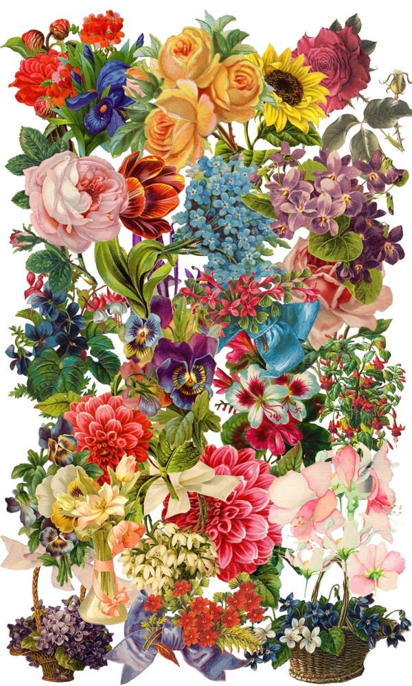 復(fù)古手繪花插畫