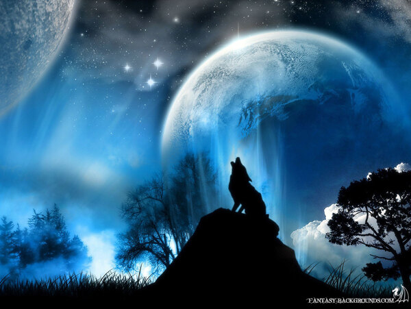 狼月夜图片