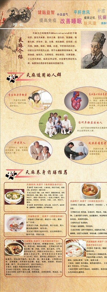 天麻展架
