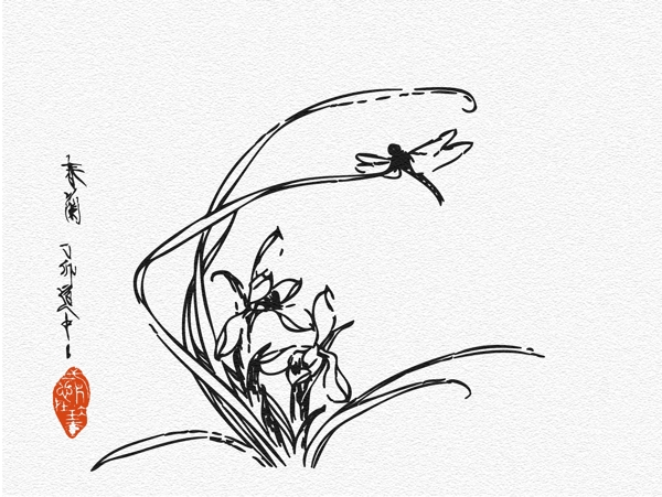 白描蘭花圖片