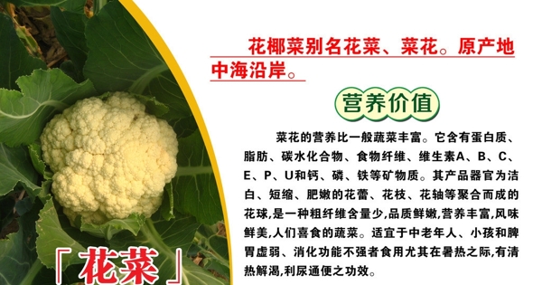 菜品介紹圖片