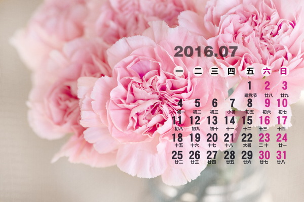花朵2016年7月日历壁纸图片