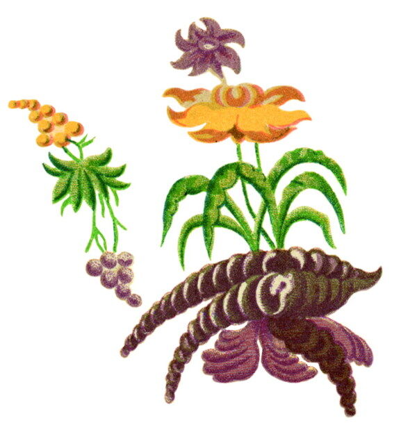 全球花紋圖案現(xiàn)代圖案裝飾圖案0113