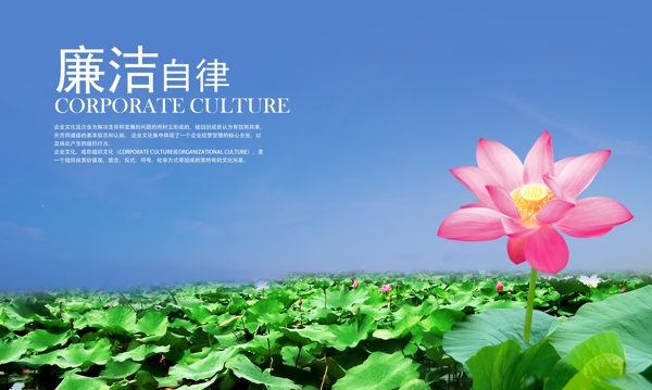 企業(yè)文化