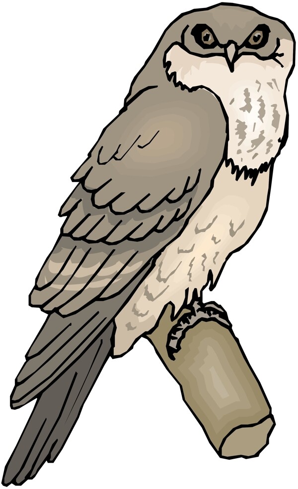 各種鳥類鳥動(dòng)物矢量素材EPS格式1514