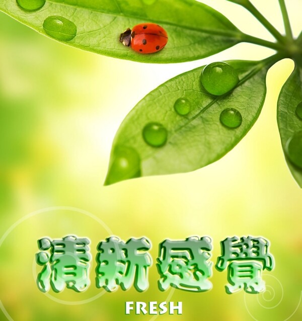 美麗風(fēng)景圖片