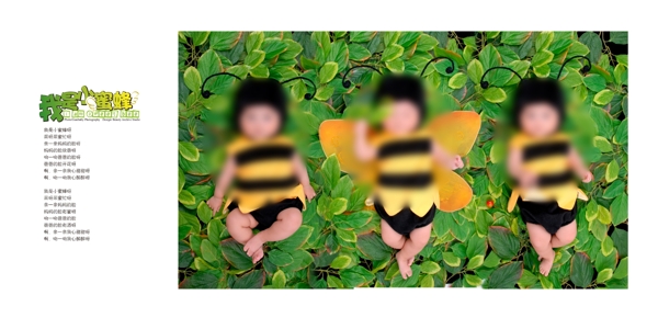 我是小蜜蜂图片