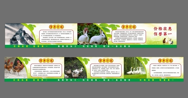 簡介